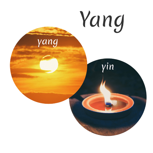le feu et yin yang