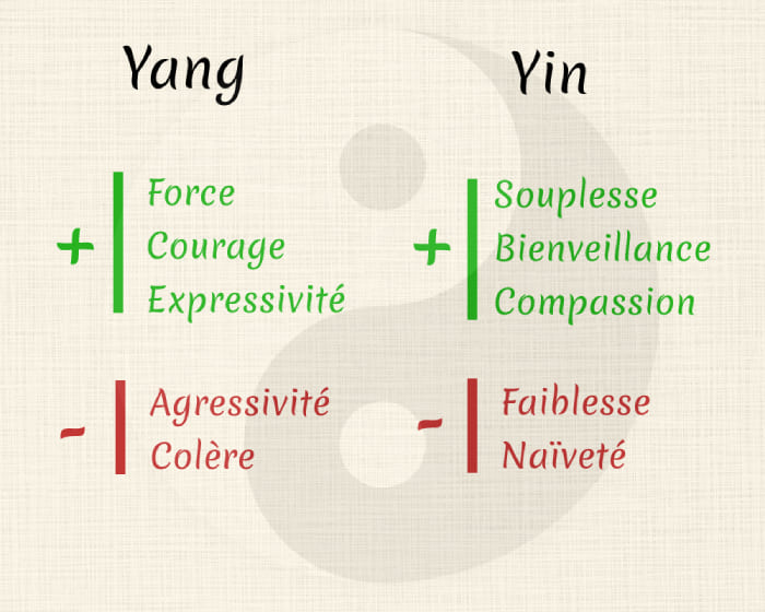 carractère yin et carractère yang, le positif et le négatif